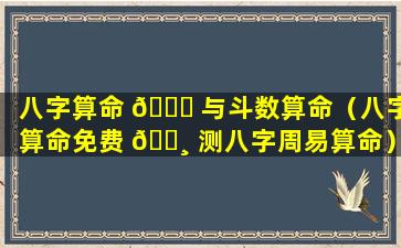 八字算命 🐘 与斗数算命（八字算命免费 🌸 测八字周易算命）